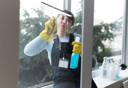 Nettoyage de vitres intérieures et extérieures à Saint-Julien-sur-Bibost